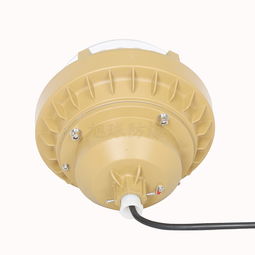 專業LED防爆燈生產商 安全照明的保障